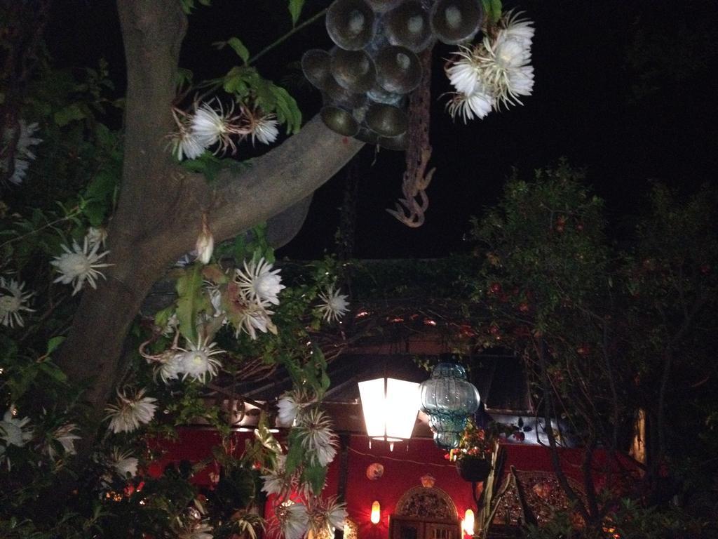 Casa De Las Flores Bed and Breakfast Tlaquepaque Εξωτερικό φωτογραφία