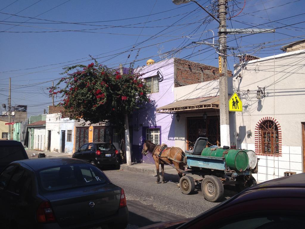 Casa De Las Flores Bed and Breakfast Tlaquepaque Εξωτερικό φωτογραφία