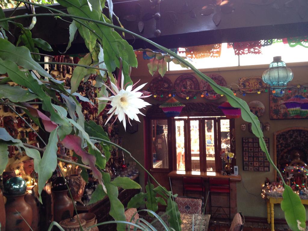 Casa De Las Flores Bed and Breakfast Tlaquepaque Εξωτερικό φωτογραφία