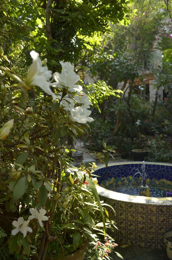Casa De Las Flores Bed and Breakfast Tlaquepaque Εξωτερικό φωτογραφία