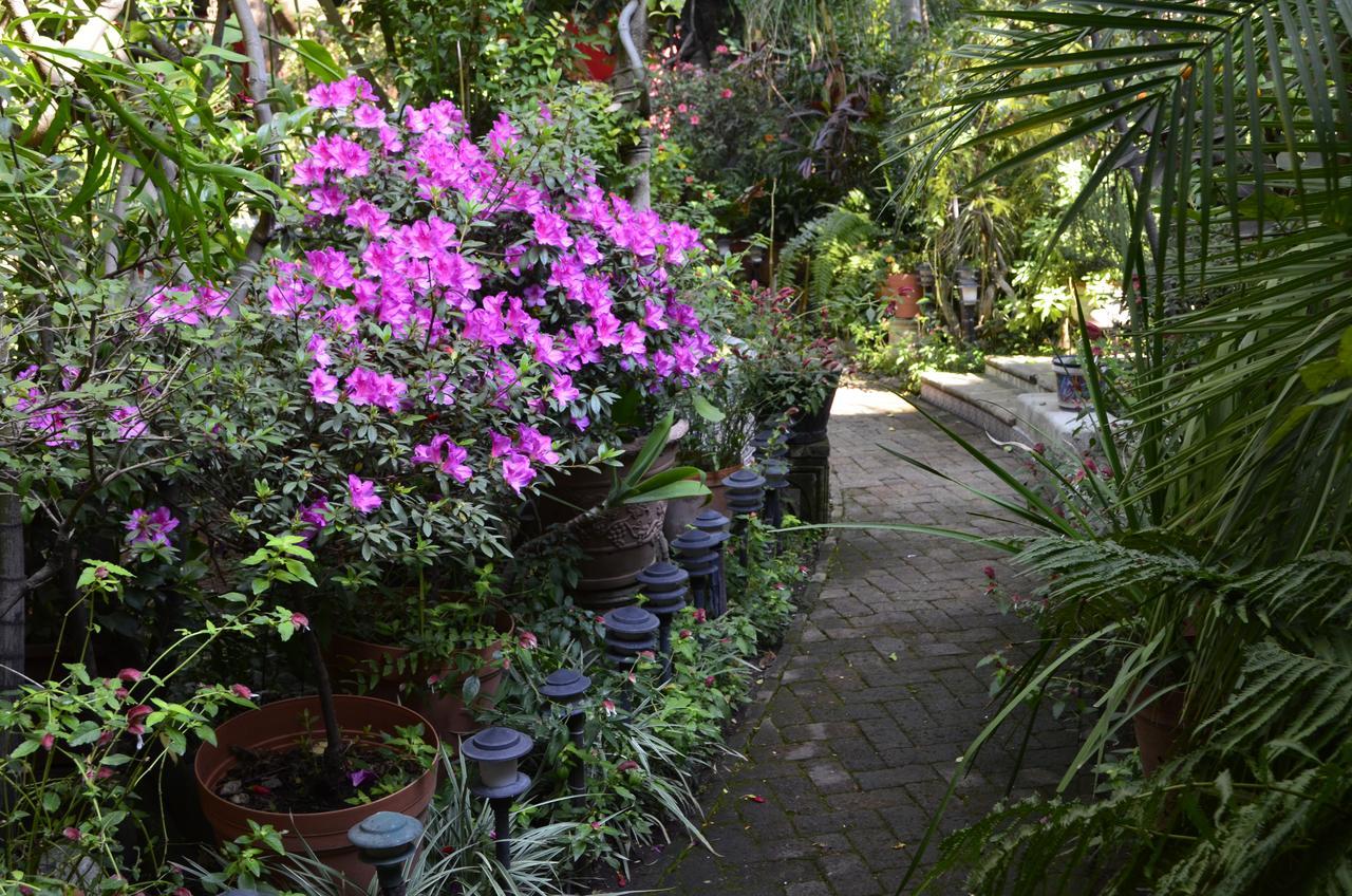 Casa De Las Flores Bed and Breakfast Tlaquepaque Εξωτερικό φωτογραφία